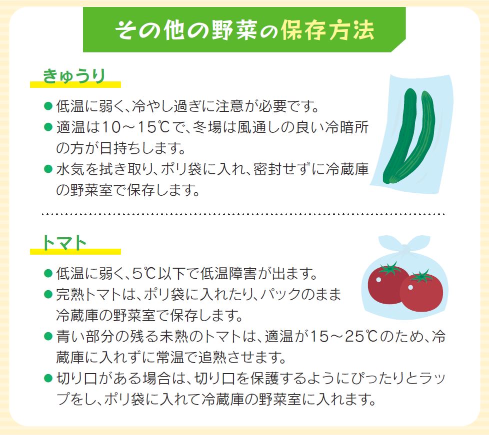 【応募〆切まであと4日】きゅうり・トマトの寒い時期の保存方法を御紹介♪食品ロス削減使いきり実践チャレンジ実施中！(プレゼント抽選あり)のアイキャッチ画像