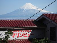 エコ特典の画像