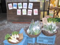 お店のおすすめの画像